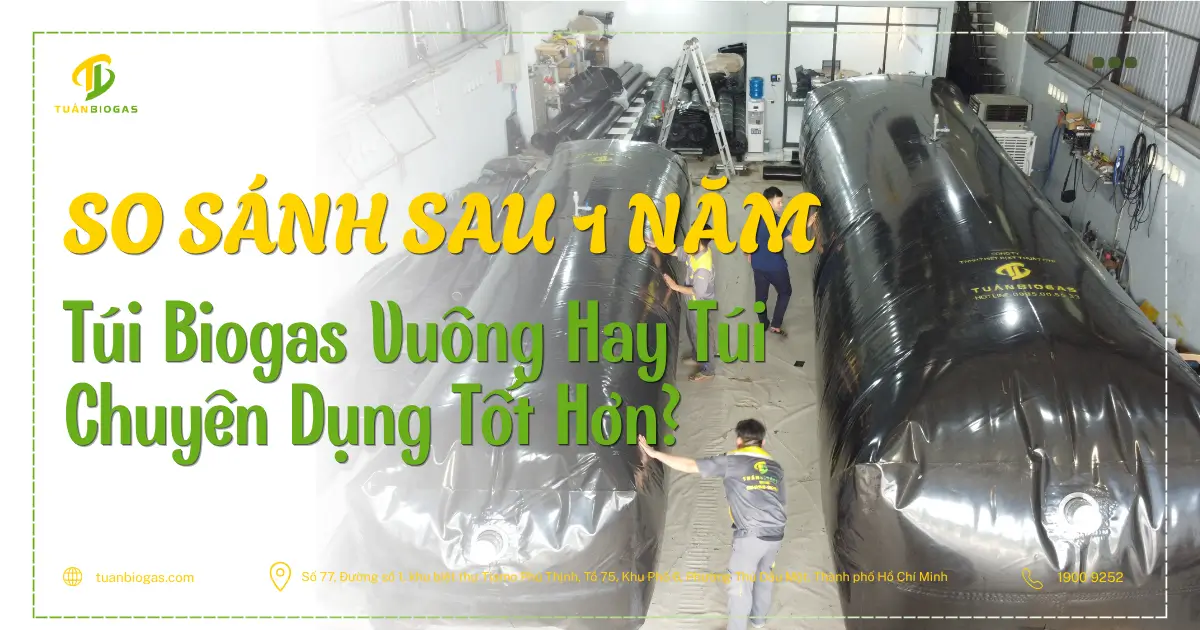 Túi Biogas Vuông Và Túi Biogas Chuyên Dụng: Sau 1 Năm, Nên Chọn Loại Nào?